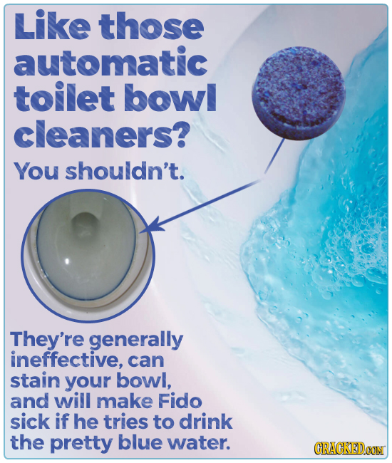 Like those automatic toilet bowl cleaners? You shouldn't. They're generally ineffective, can stain your bowl, and will make Fido sick if he tries to d