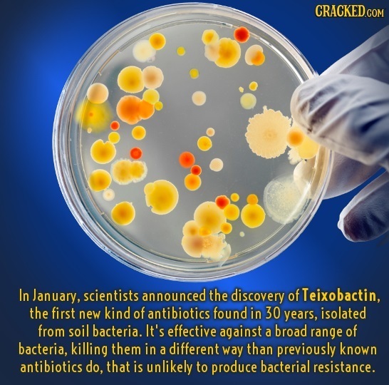 In January, scientists announced the discovery of Teixobactin, the first new kind of antibiotics found in 30 years, isolated from soil bacteria. It's 