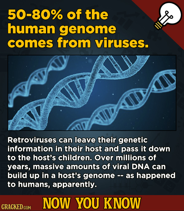 13 Cool Things You Didn’t Know About Movies (And Other Stuff) - 50-80% of the human genome comes from viruses.