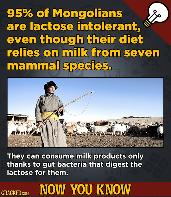 13 Cool Things You Didn’t Know About Movies (And Other Stuff) - 95% of Mongolians are lactose intolerant, even though their diet relies on milk