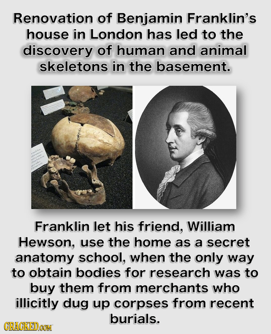 Renovation of Benjamin Franklin's house in London has led to the discovery of human and animal skeletons in the basement. Franklin let his friend, Wil