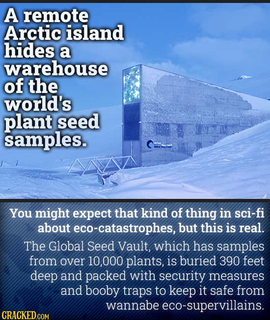 A remote Arctic island hides a warehouse of the world's plant seed samples. You might expect that kind of thing in sci-fi about eco-catastrophes, but
