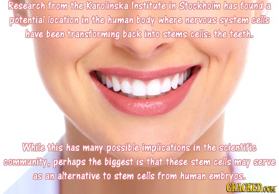 Research from the Karolinska Institute in Stockholm has found a potential location in the human body where nervous system cells have been transforming