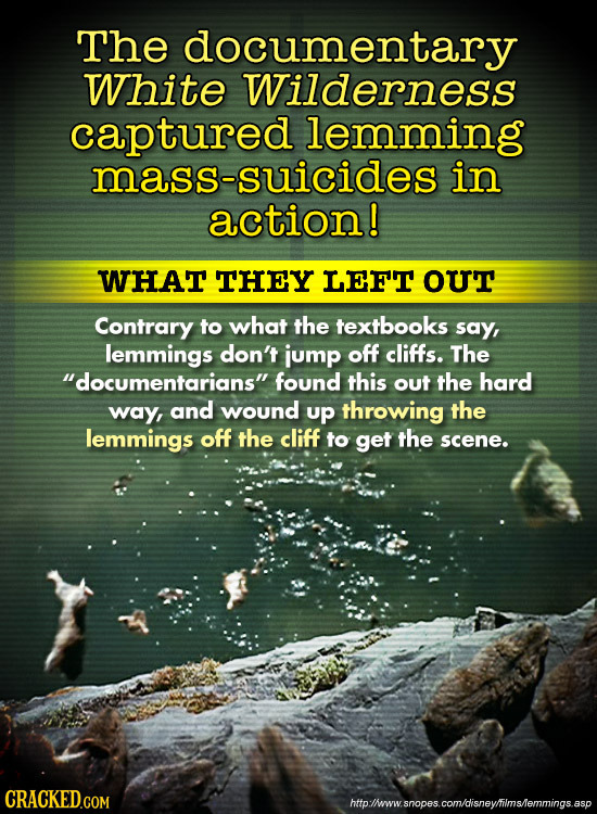 The documentary White Wilderness captured lemming mass-suicides in action! WHAT THEY LEFT ouT Contrary to what the textbooks say, lemmings don't jump