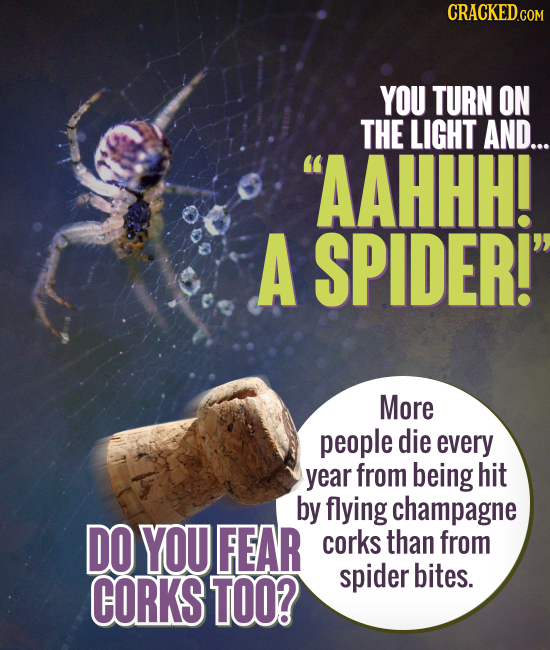 CRACKED.COM YOU TURN ON THE LIGHT AND... AAHHH! A SPIDER! More people die every year from being hit by flying champagne DO YOU FEAR corks than from