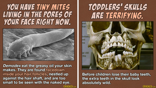 16 Nightmare-Inducing Facts About The Human Body