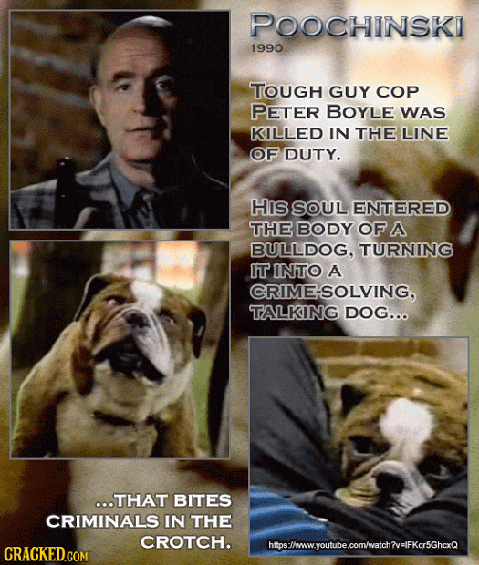 The 20 Most Unintentionally Hilarious Moments in TV History