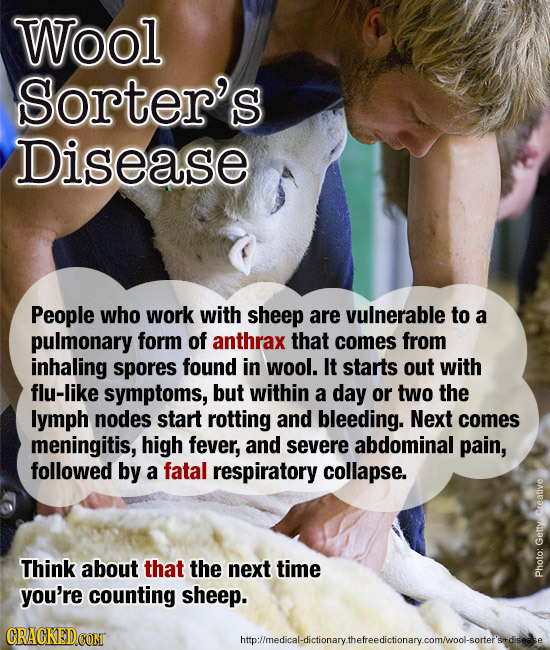 Wool Sorter's Disease People who work with sheep are vulnerable to a pulmonary form of anthrax that comes from inhaling spores found in wool. It start