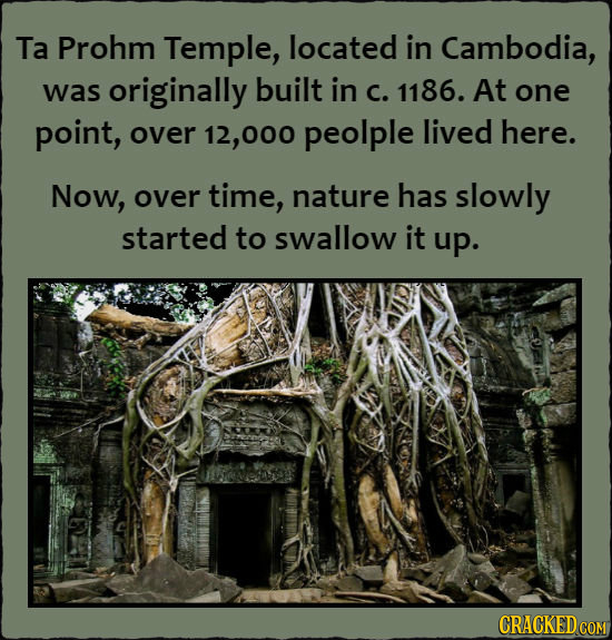 Ta Prohm Temple, located in Cambodia, was originally built in C. 1186. At one point, over 2,000 peolple lived here. Now, over time, nature has slowly 
