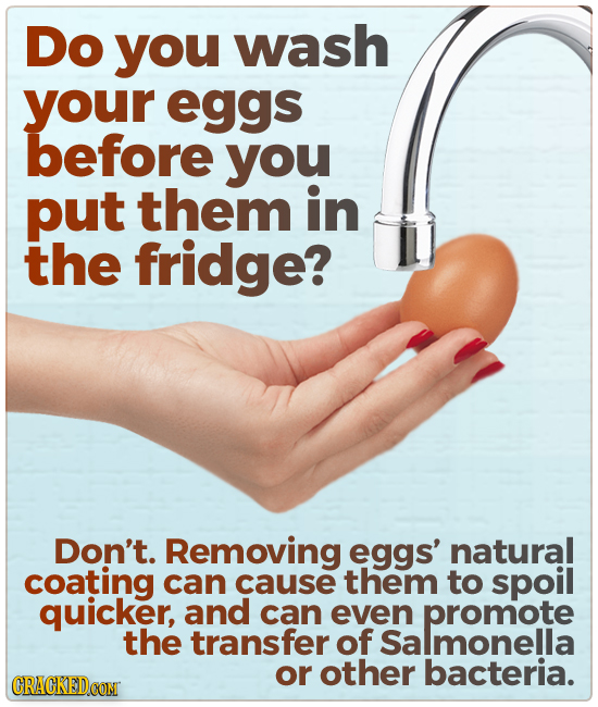Do you wash your eggs before you put them in the fridge? Don't. Removing eggs' natural coating can cause them to spoil quicker, and can even promote t