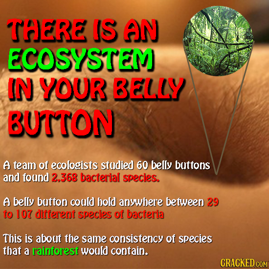 THERE IS AN ECOSYSTEM IN YOUR BELLY BUTTON A team of ecologists stodied 60 belly buttons and foond 2.368 bacterial species. A belly button could hold