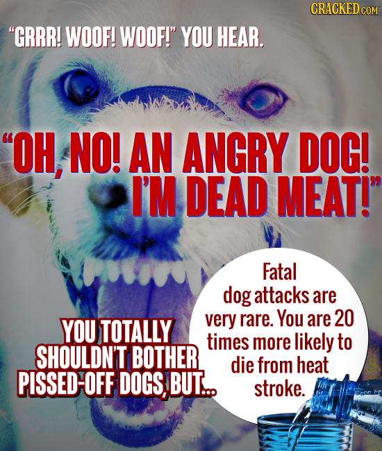 CRACKEDCON GRRR! WOOF! WOOF! YOU HEAR. OH, NO! AN ANGRY DOG! I'M DEAD MEAT! Fatal dog attacks are You YOU TOTALLY very rare. are 20 times more lik