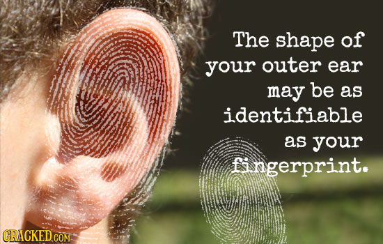 The shape of your outer ear may be as identifiable as your fingerprint.