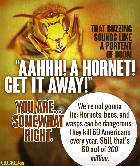 THAT BUZZING SOUNDS LIKE A PORTENT OF DOOM. AAHHH! A HORNET! GET IT AWAY! YOU ARE... We're not gonna SOMEWHAT lie: Hornets, bees, and wasps can be d