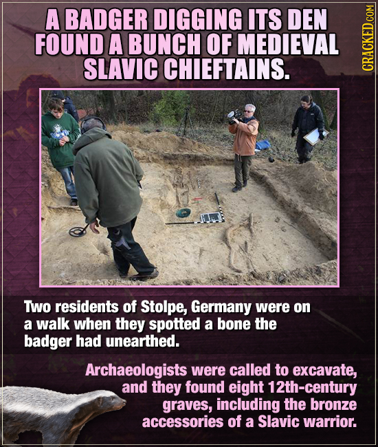 A BADGER DIGGING ITS DEN FOUND A BUNCH OF MEDIEVAL SLAVIC CHIEFTAINS. CRAGA TWo residents of Stolpe, Germany were on a walk when they spotted a bone t