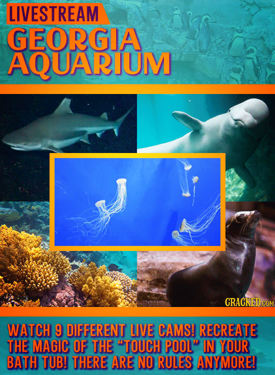 The Coolest, Weirdest Virtual Experiences Online