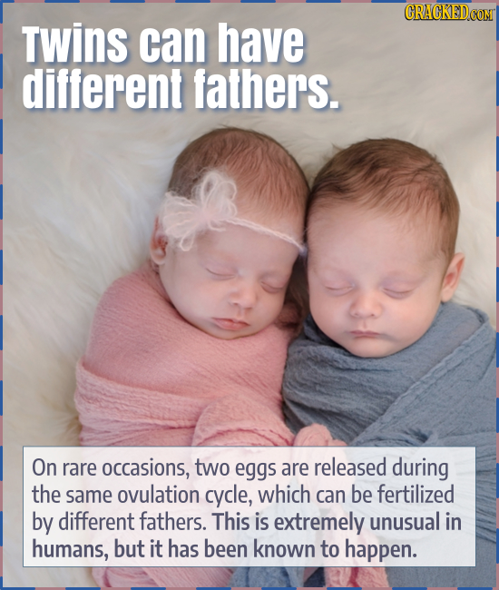 Twins can have different fathers. On rare occasions, two eggs are released during the same ovulation cycle, which can be fertilized by different fathe
