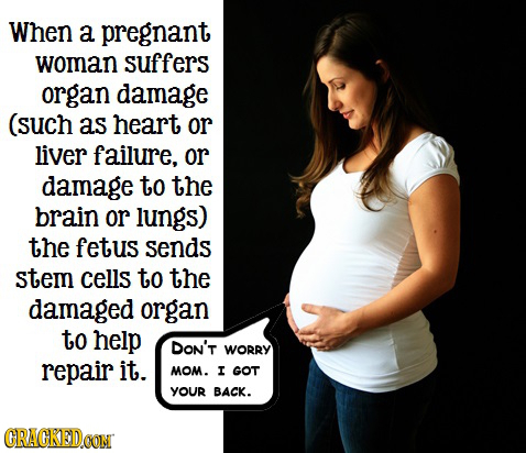 When a pregnant woman suffers organ damage (such as heart or liver failure, or damage to the brain or lungs) the fetus sends stem cells to the damaged