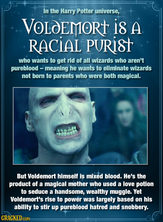 In the Harry Potter universe, VOLDEMORT i8 A RACIAL PuRiST who wants to get rid of all wizards who aren't pureblood - meaning he wants to eliminate wi