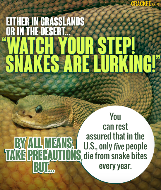 CRACKED EITHER IN GRASSLANDS OR IN THE DESERT... WATCH YOUR STEP! SNAKES ARE LURKING! You can rest assured that in the BY ALL MEANS, U.S., only five