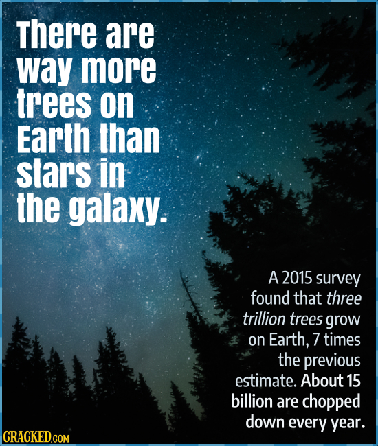 There are way more trees on Earth than stars in the galaxy. A 2015 survey found that three trillion trees grow on Earth, 7 times the previous estimate