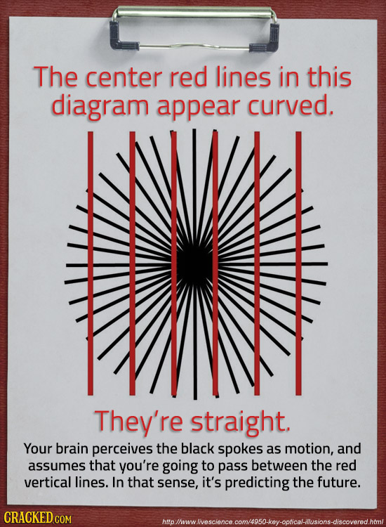 The center red lines in this diagram appear curved. They're straight. Your brain perceives the black spokes as motion, and assumes that you're going t