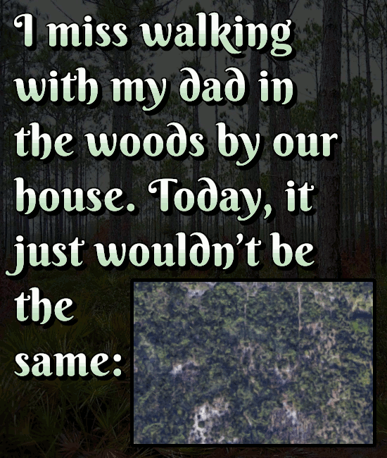 27 Awesome (Now Sadly Gone) Things From When You Were A Kid