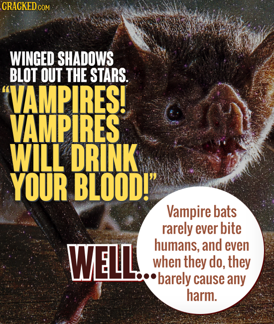 CRACKED CO COM WINGED SHADOWS BLOT OUT THE STARS. VAMPIRES! VAMPIRES WILL DRINK YOUR BLOOD! Vampire bats rarely ever bite WELL. humans, and even whe