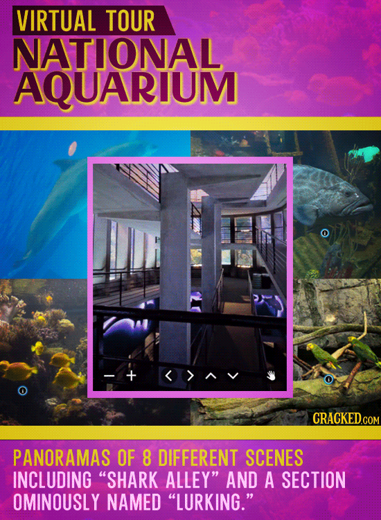 The Coolest, Weirdest Virtual Experiences Online