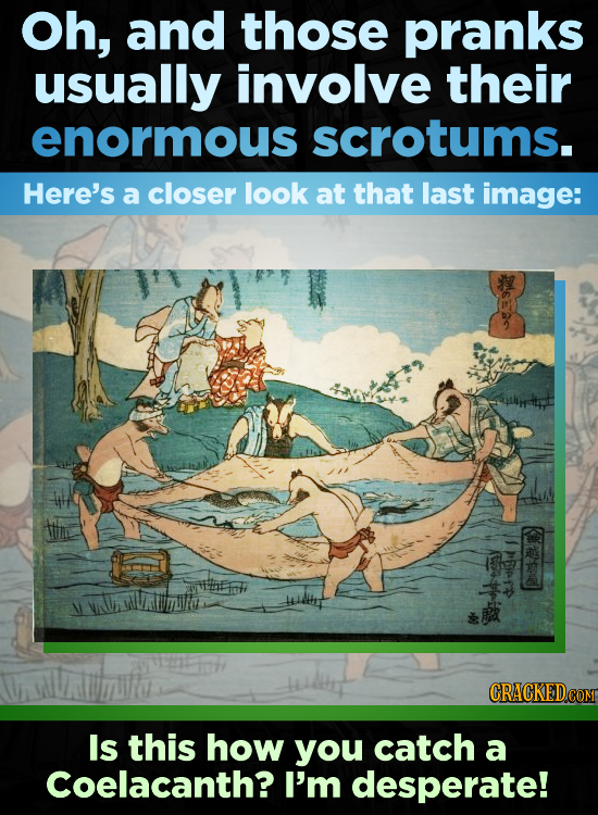 Oh, and those pranks usually involve their enormous scrotums. Here's a closer look at that last image: Is this how you catch a coelacanth? I'm despera
