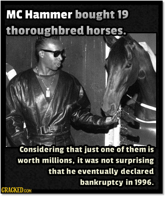 MC Hammer bought 19 thoroughbred horses. Considering that just one of them is worth millions, it was not surprising that he eventually declared bankru
