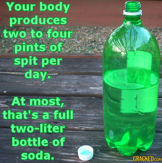 Your body produces two to four pints of spit per day. At most, that's a full two-liter bottle of soda. CRACKEDCON