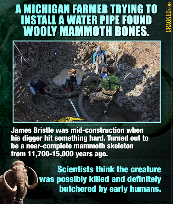 A MICHIGAN FARMER TRYING TO INSTALL A WATER PIPE FOUND WOOLY MAMMOTH BONES. CRAGA James Bristle was mid-construction when his digger hit something har