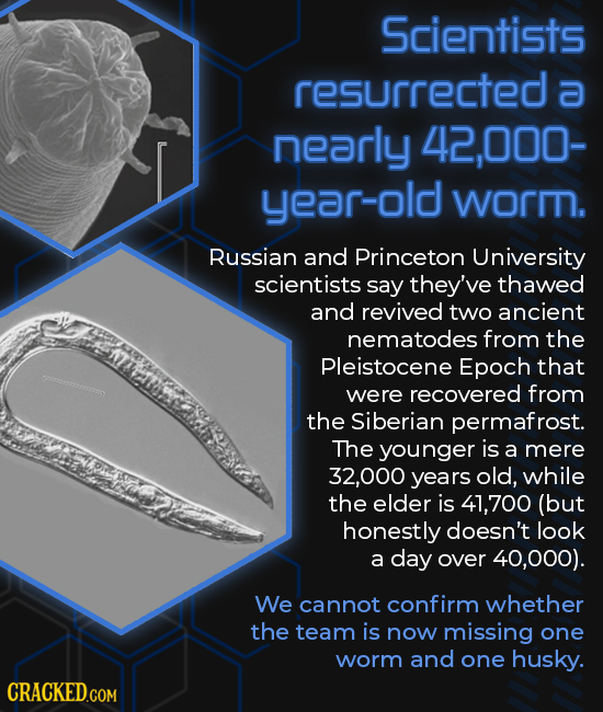 Scientists resurrected a nearly 42,000- year-old wormn. Russian and Princeton University scientists say they've thawed and revived two ancient nematod