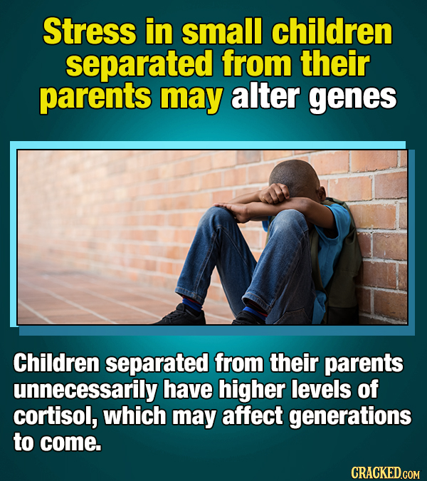 17 Fascinating Facts About Child Development (That Tell Us Lots About Adults)