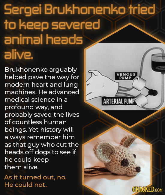 Sergei Brukhonenko tried to keep severed animal heads alive. Brukhonenko arguably helped pave the way for VENOUS PUMP modern heart and lung machines.