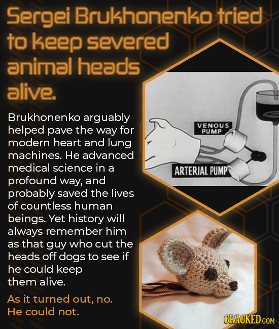 Sergei Brukhonenko tried to keep severed animal heads alive. Brukhonenko arguably helped pave the way for VENOUS PUMP modern heart and lung machines. 