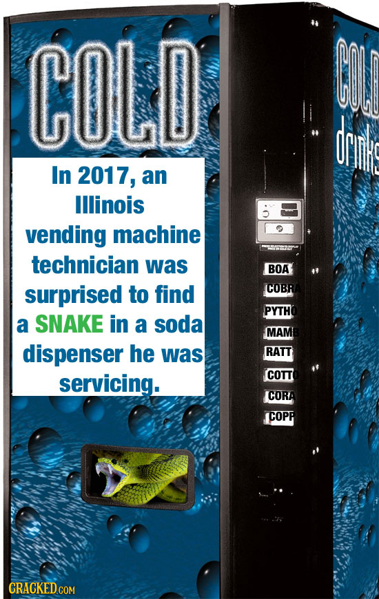 COLD dring In 2017, an lllinois vending machine technician was BOA surprised to find COBR PYTH a SNAKE in a soda MAM dispenser he was RATT servicing.