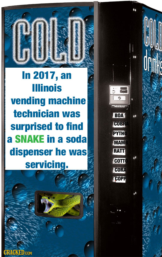COLD dring In 2017, an lllinois vending machine technician was BOA surprised to find COBR PYTH a SNAKE in a soda MAM dispenser he was RATT servicing. 