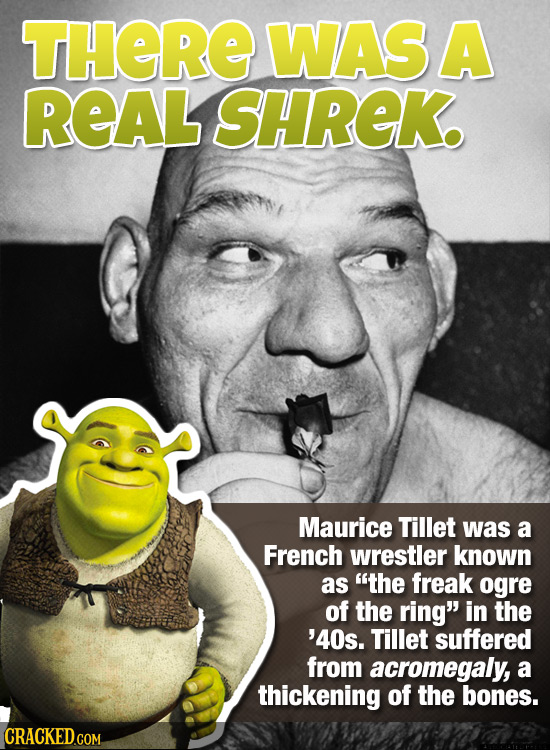THERE WASA REAL SHREK Maurice Tillet was a French wrestler known as the freak ogre of the ring in the '40s. Tillet suffered from acromegaly, a thick