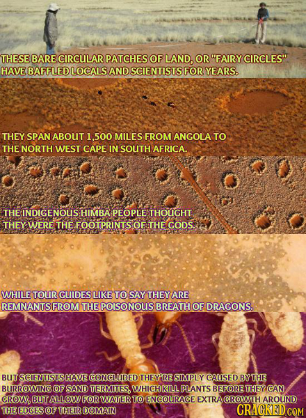 THESE BARE CIRCULAR PATCHES OF LAND, OR FAIRY CIRCLES HAVE BAFFLED LOCALS AND SCIENTISTSFOR YEARS. THEY SPAN ABOUT 1.500 MILES FROM ANGOLA TO THE NO