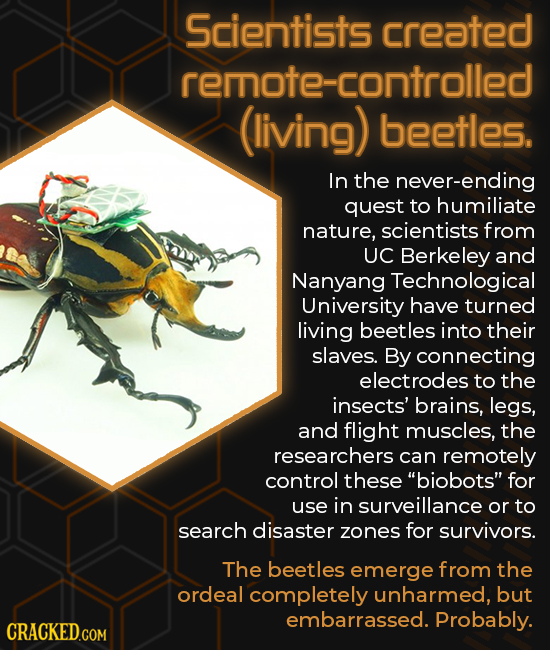 Scientists created remote-controlled (living) beetles. In the never-ending quest to humiliate nature, scientists from UC Berkeley and Nanyang Technolo