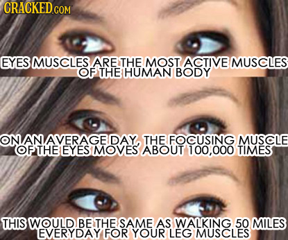 EYES MUSCLES ARE THE MOST ACTIVE MUSCLES OF THE HUMAN BODY AN DAY THE FOCUSING MUSCLE OFTHEEYES MOVES ABOUT 100,000 TIMES THIS WOULD BE THE SAME AS WA