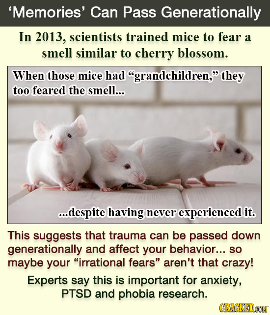 'Memories' Can Pass Generationally In 2013, scientists trained mice to fear a smell similar to cherry blossom. When those mice had grandchildren, th