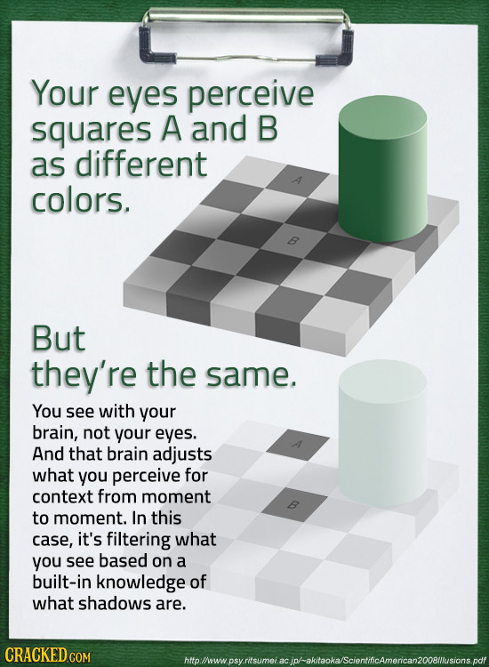 Your eyes perceive squares A and B as different colors. But they're the same. You see with your brain, not your eyes. And that brain adjusts what you 
