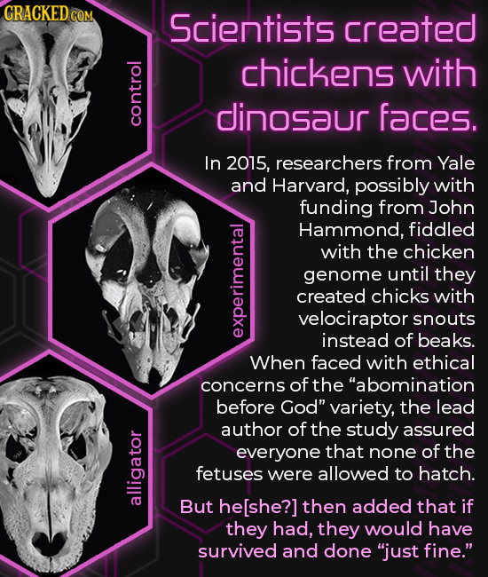 CRACKED COM Scientists created chickens with dinosaur faces. con In 2015, researchers from Yale and Harvard, possibly with funding from John Hammond, 
