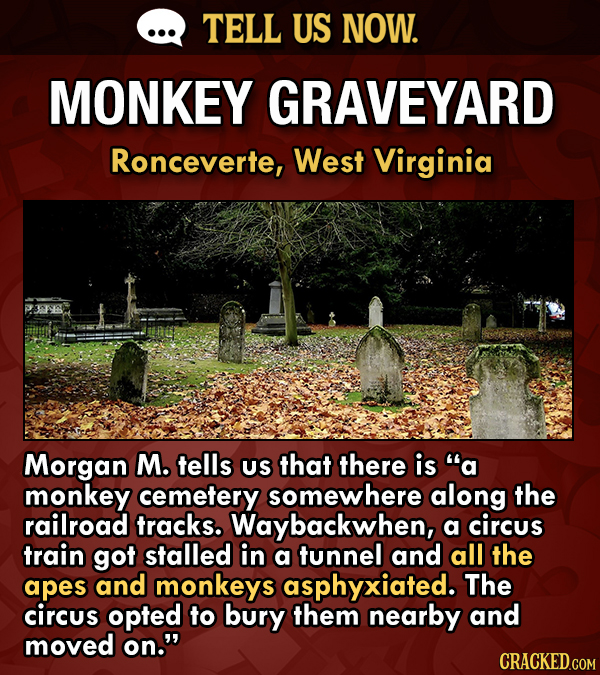 Tell Us Now: What's Your Hometown Known For (That No One Actually Knows)?