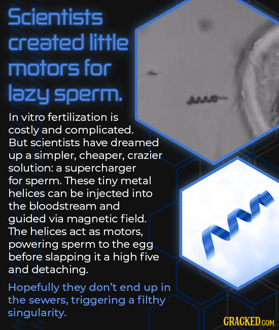 Sci Fi-Grade Experiments That (Somehow) Happened