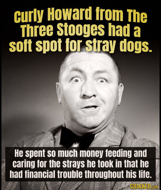 curly Howard from The Three Stooges had a soft spot for stray dogs. He spent SO much money feeding and caring for the strays he took in that he had fi