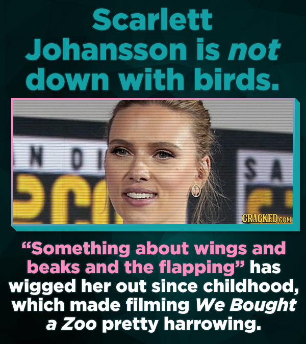 19 Bizarre Fears, Phobias, and Superstitions Of The Rich And The Famous